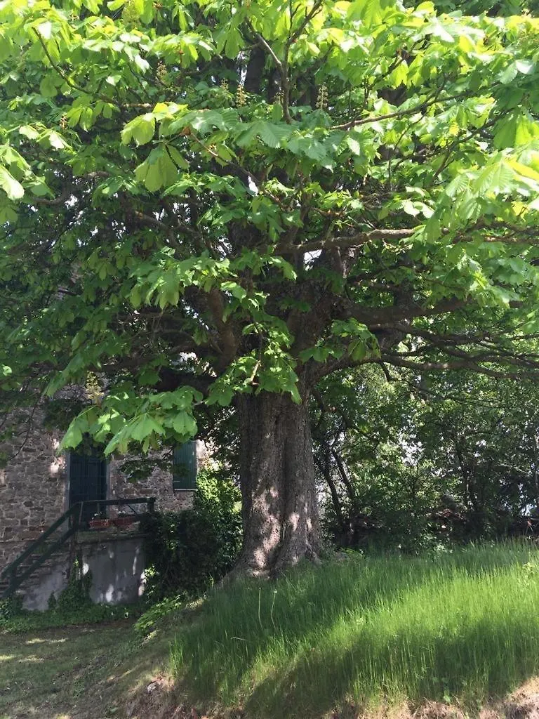Villa Chicca Neviano degli Arduini
